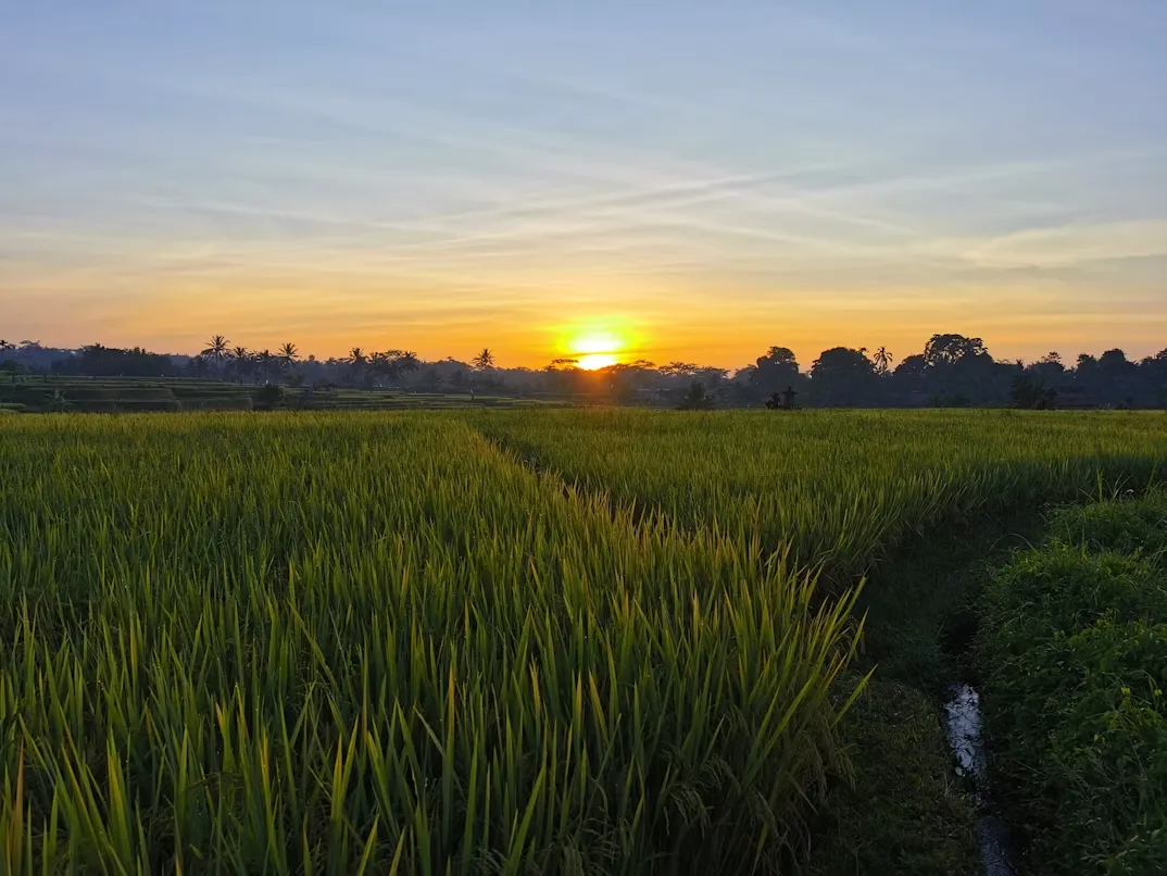 Hội An at golden hour